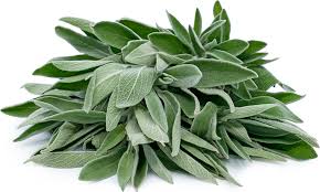 Sage