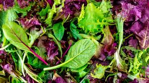 Spring Mix