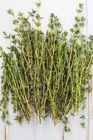 Thyme